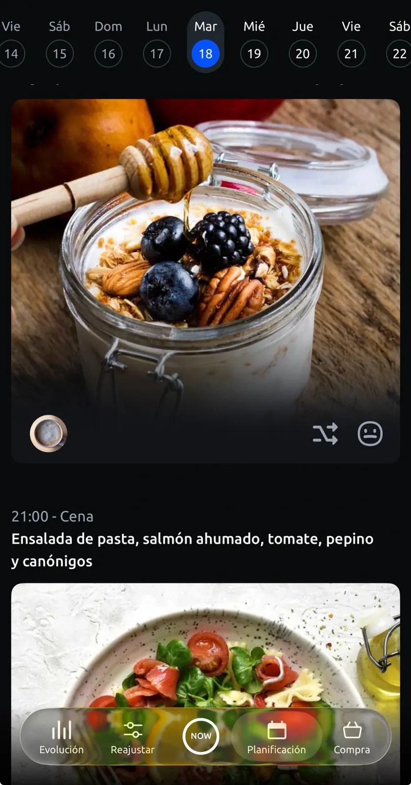 Planificación nutricional utilizada por clientes de RIVFIT mediante INDYA